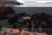caoliu