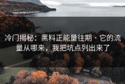 冷门揭秘：黑料正能量往期 · 它的流量从哪来，我把坑点列出来了
