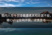 圈内人在今日凌晨遭遇真相欲罢不能，糖心vlog全网炸锅，详情直击