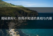 揭秘黑料Y：你所不知道的真相与内幕