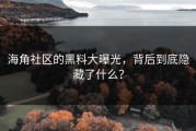 海角社区的黑料大曝光，背后到底隐藏了什么？