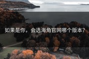 如果是你，会选海角官网哪个版本？