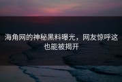 海角网的神秘黑料曝光，网友惊呼这也能被揭开