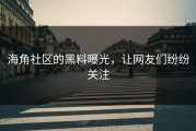 海角社区的黑料曝光，让网友们纷纷关注