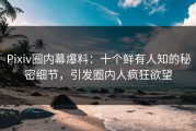 Pixiv圈内幕爆料：十个鲜有人知的秘密细节，引发圈内人疯狂欲望