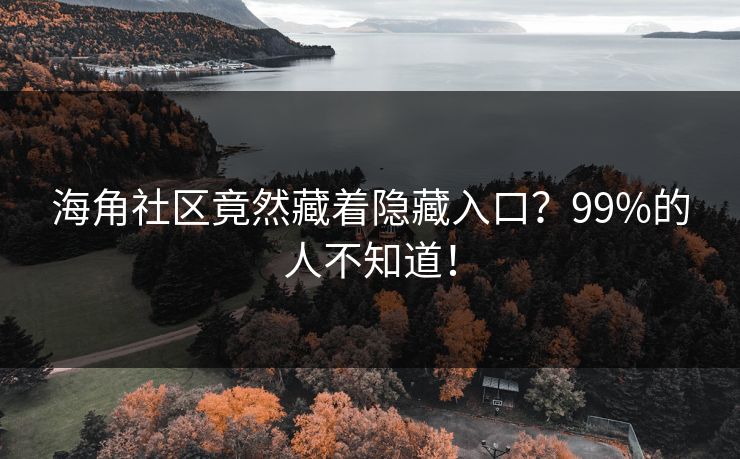 海角社区竟然藏着隐藏入口？99%的人不知道！