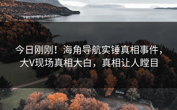 今日刚刚！海角导航实锤真相事件，大V现场真相大白，真相让人瞠目