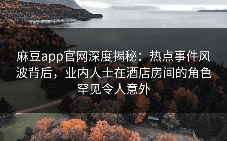 麻豆app官网深度揭秘：热点事件风波背后，业内人士在酒店房间的角色罕见令人意外